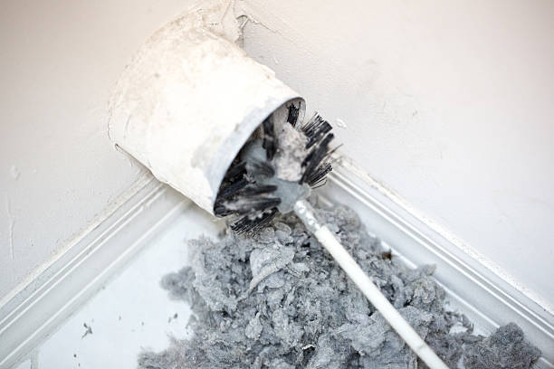 Best Air Vent Cleaning Services  in Greensboro, MD